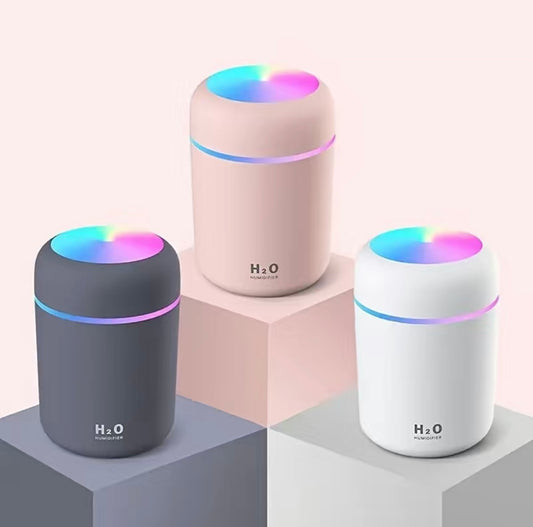 300ML Portable Humidifier